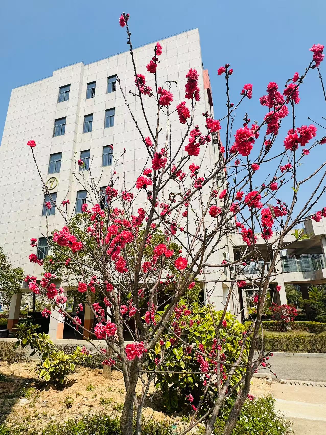 微信图片_20250319141627.jpg 微信图片_20250319141627.jpg